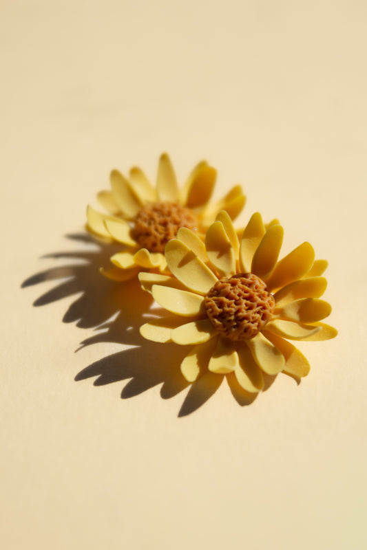 Yellow Daisies