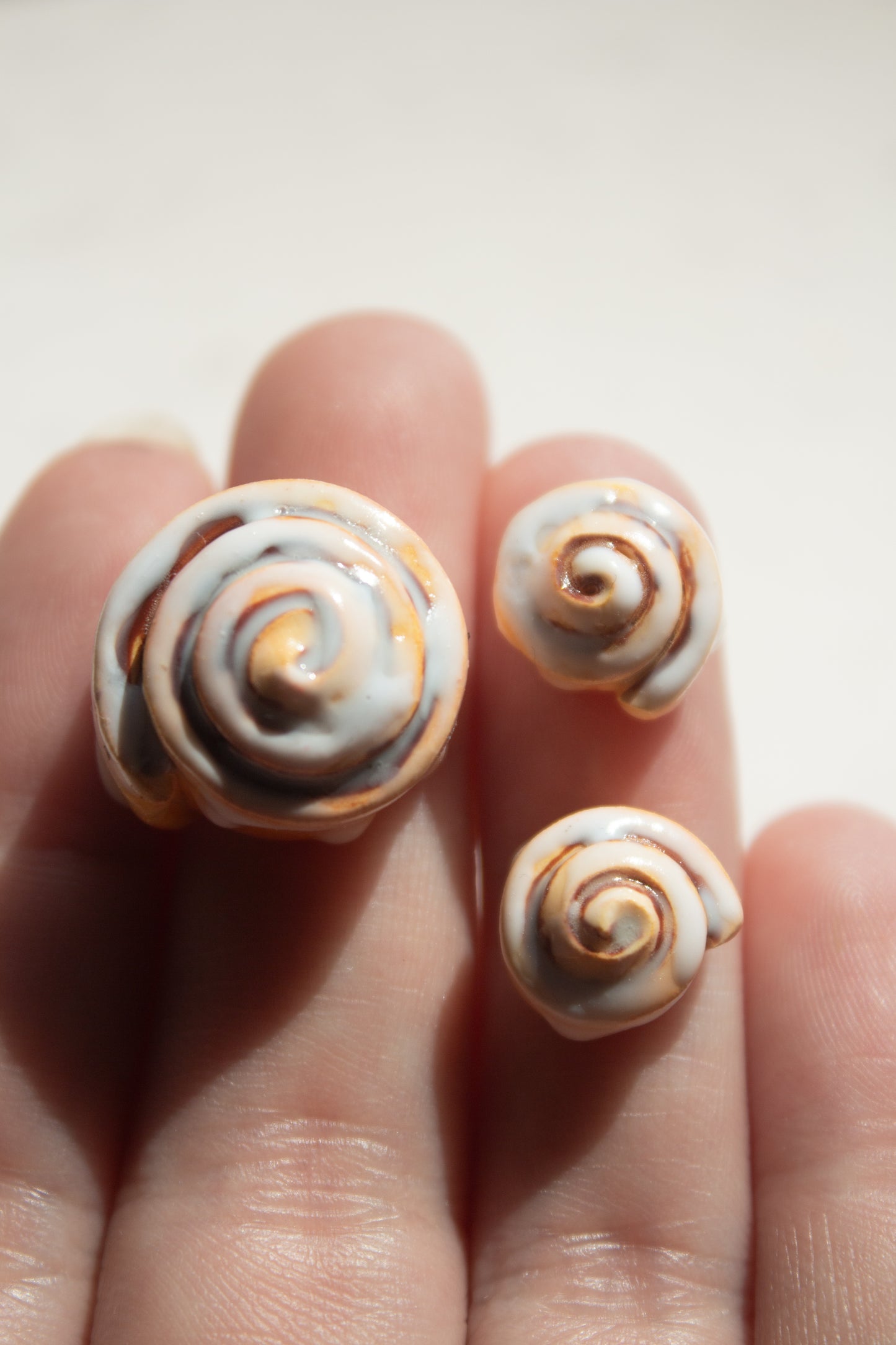 Cinnamon Rolls