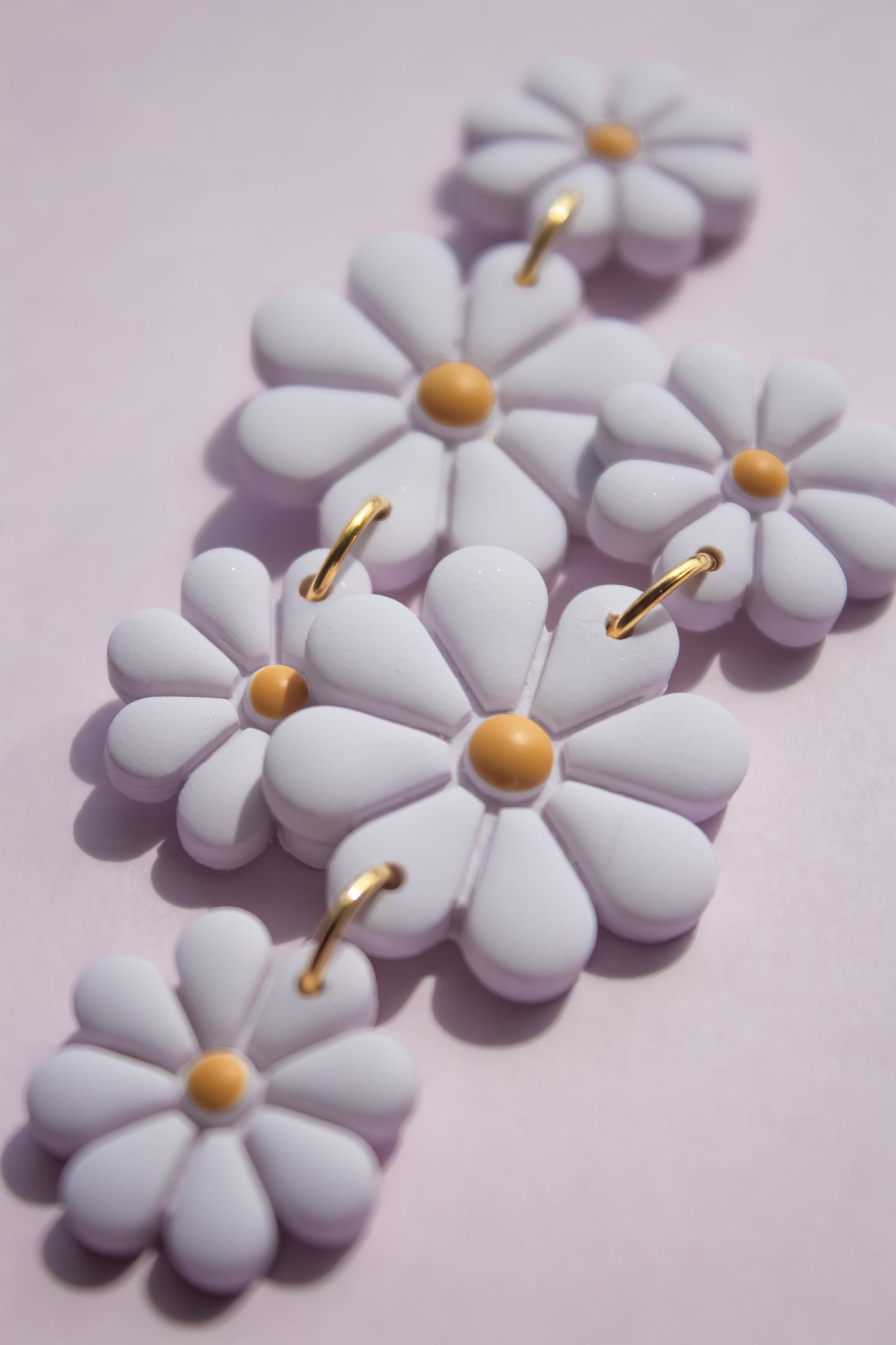 Daisies | Lilac