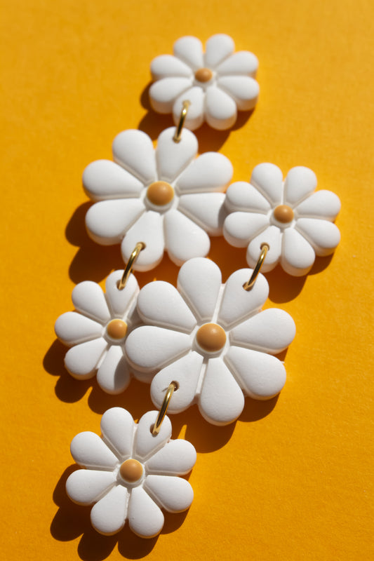 Daisies