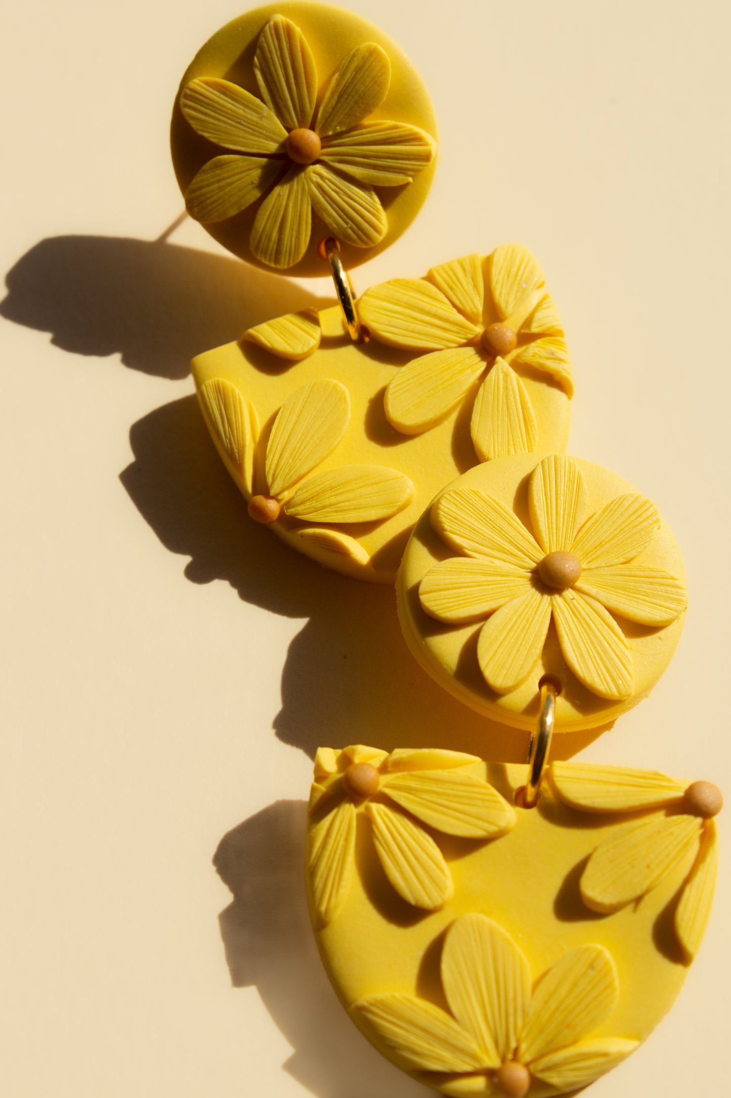 Yellow Daisies | Florence