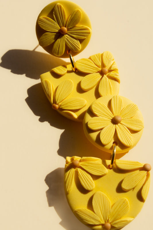 Yellow Daisies | Florence