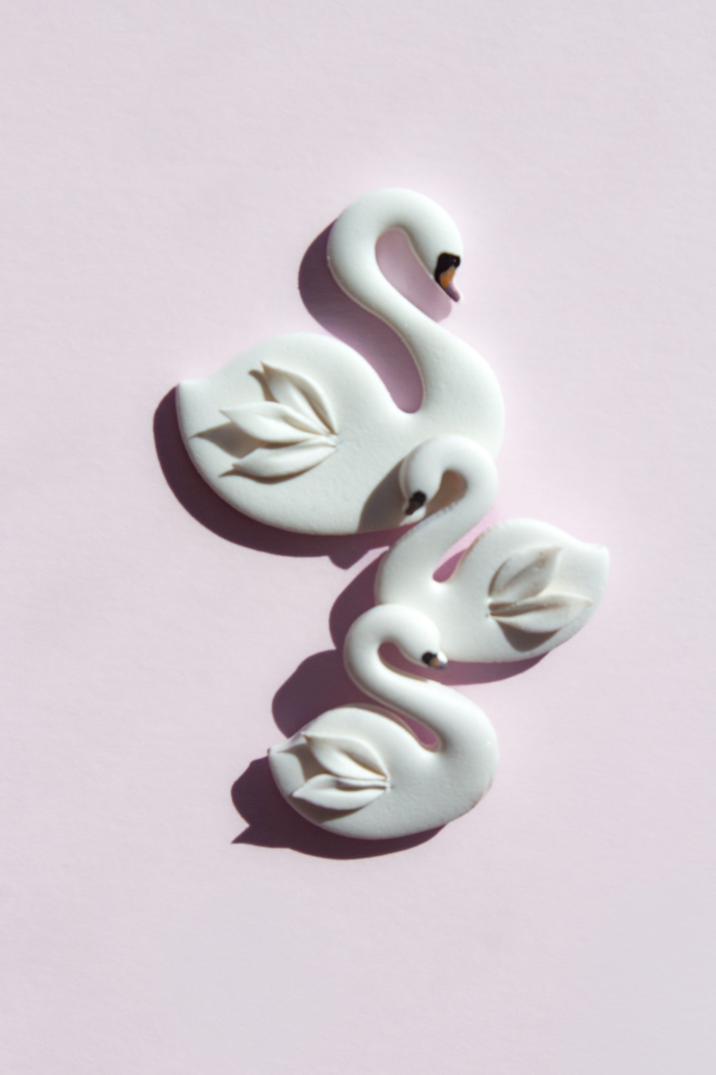 Swans