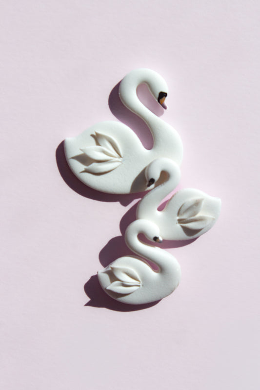 Swans