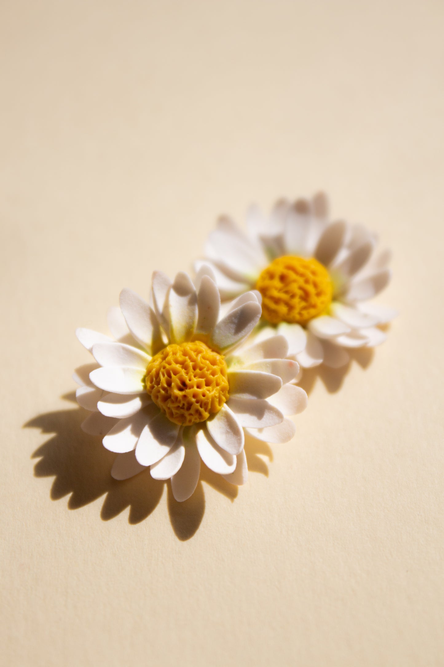 Daisies