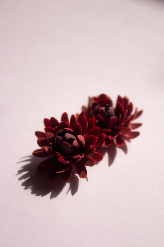 Burgundy Mums