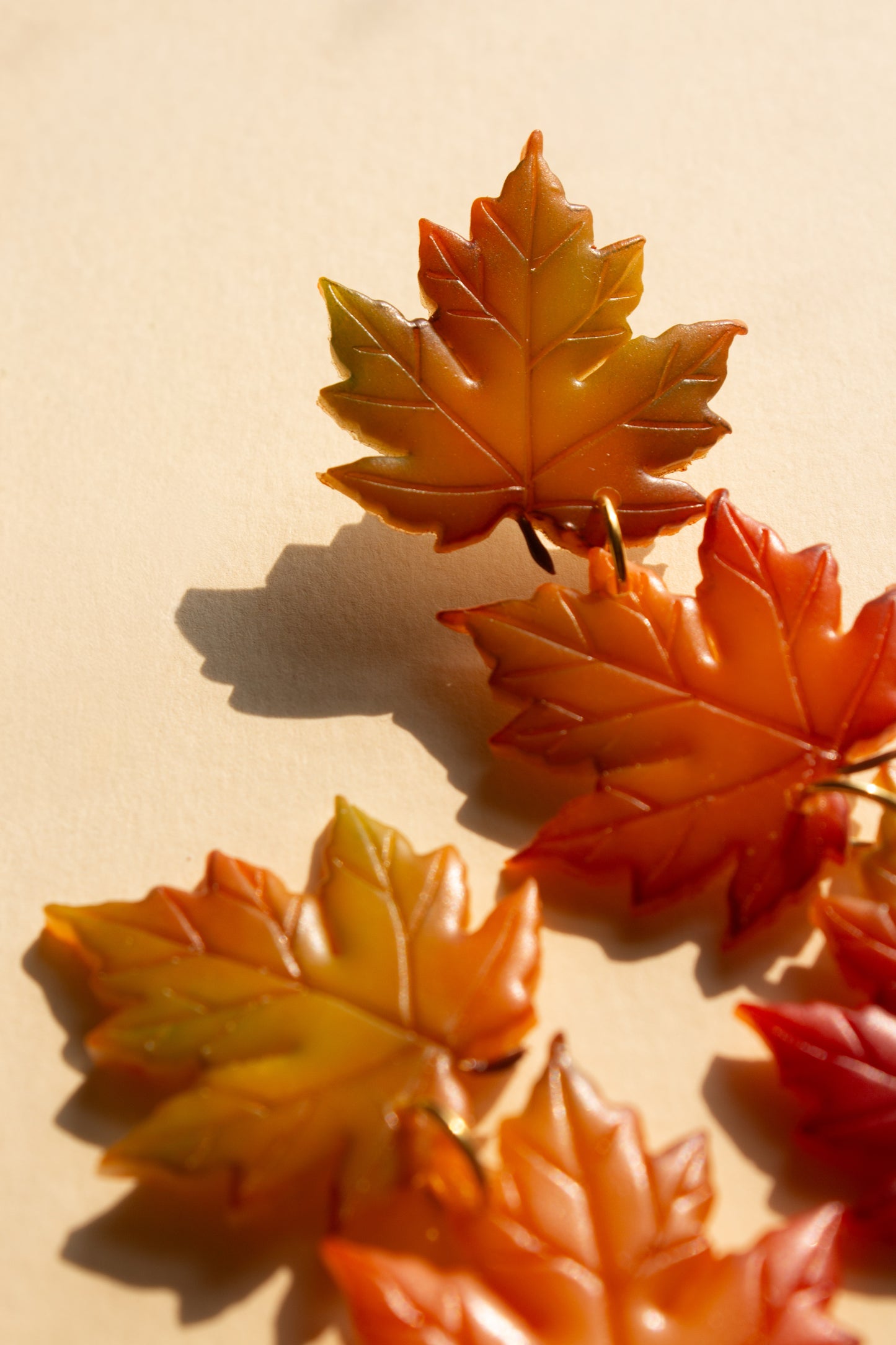 Maple Leaves