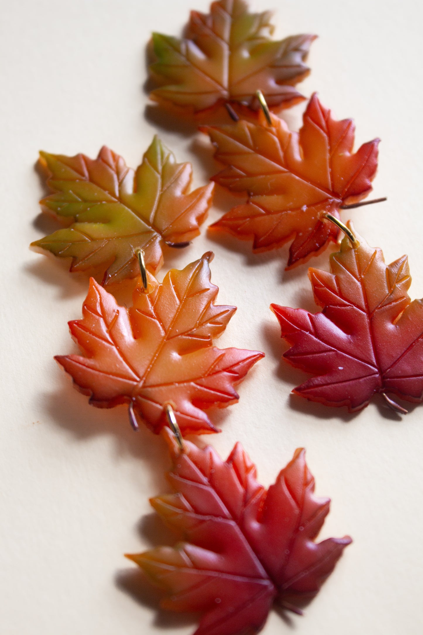 Maple Leaves