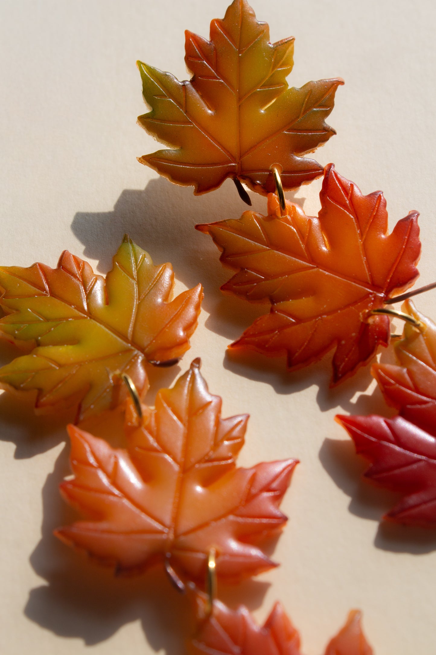 Maple Leaves