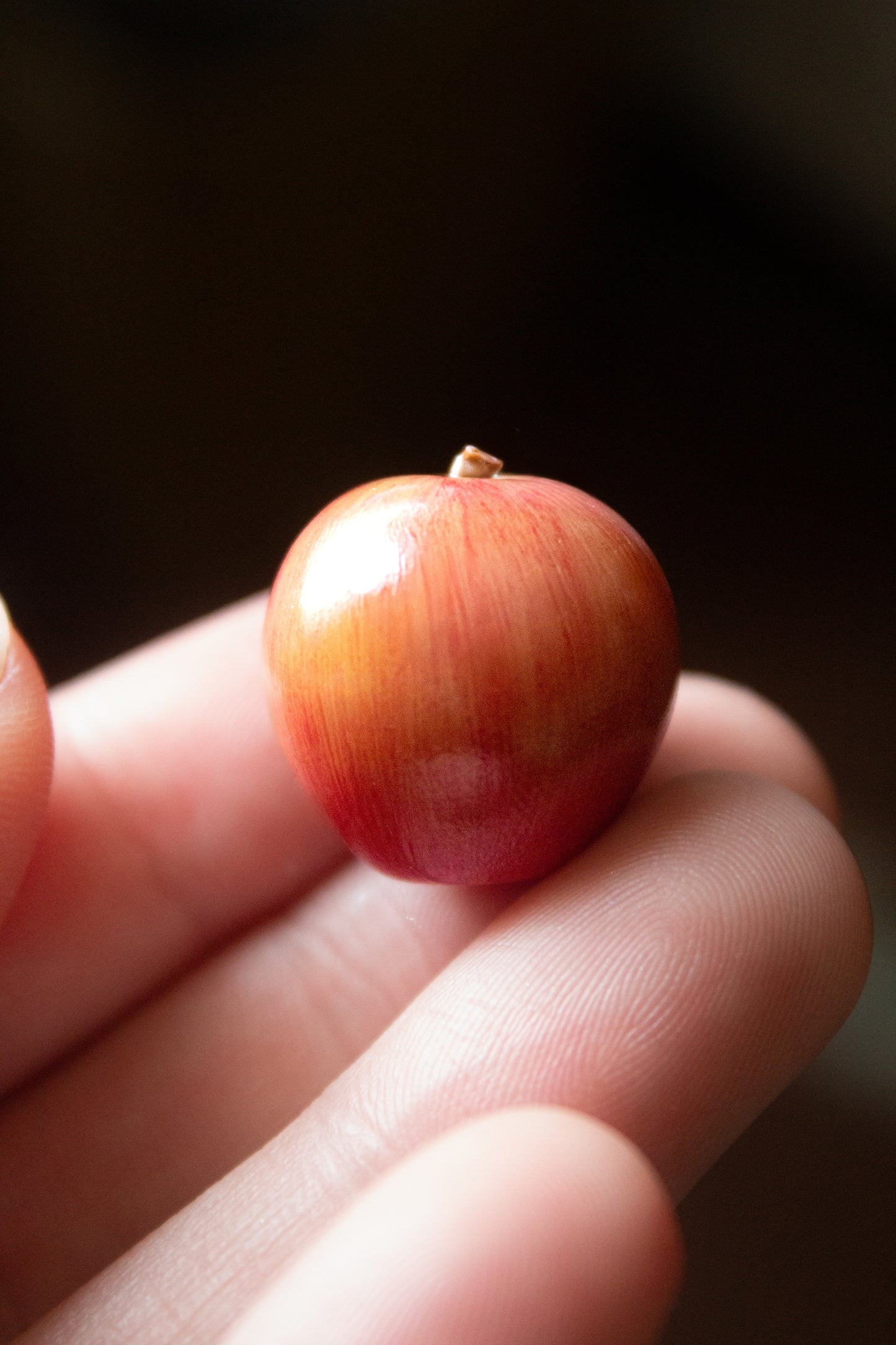 Apple Magnet